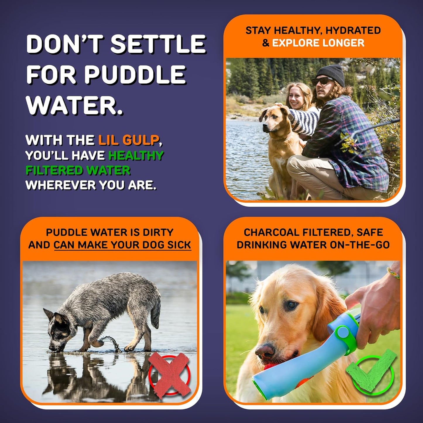 Lil Gulp Dog Water Bottle | Advanced Carbon Filtration for Safe Filtered Water on The Go | BPA-Free Leak-Proof Portable Dog Travel Water Bottle with Retractable Water Spout, 15 Fl oz - Power Punch