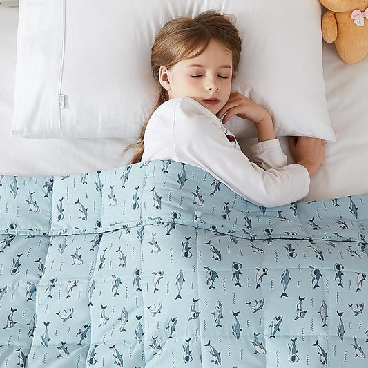 L'AGRATY Weighted Blanket - 40"x60" 10lbs Breathable Weighted Blanket Microfiber Material with Glass Beads