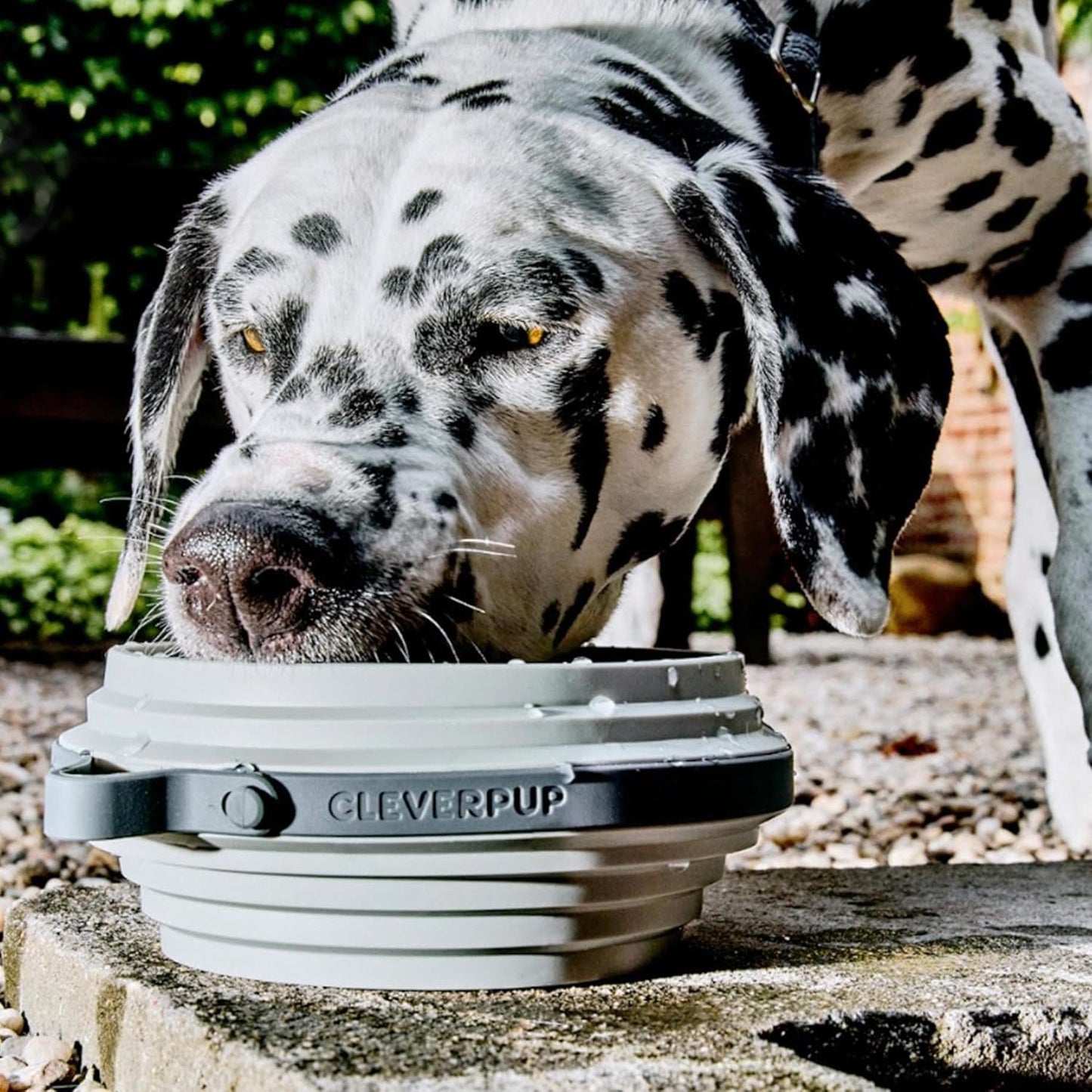 Nomad Large Collapsible Dog Bowl - 4 Cup Food-Safe Silicone Travel Bowl for Dogs, Portable & Sturdy, Food/Water, Dishwasher Safe - Grey