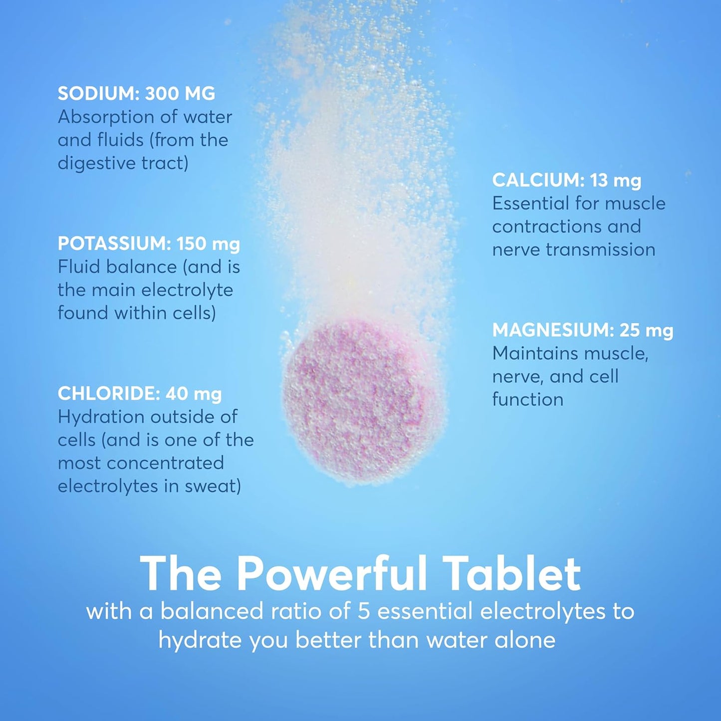 Nuun Sport Electrolyte Tablets with Magnesium, Calcium, Potassium, Chloride & Sodium, Gluten Free & Vegan, Citrus Fruit, 8 Pack (80 Servings Total)