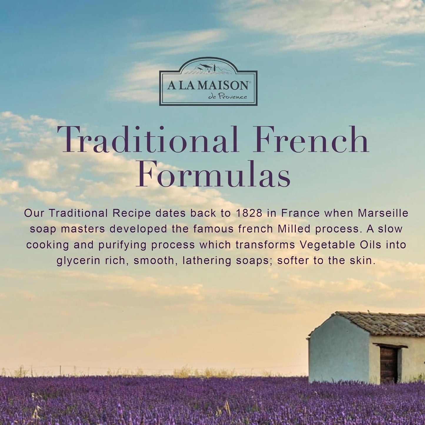 A LA MAISON de Provence Lavender Aloe Liquid Hand and Body Soap (Pack of 2) With Argan Oil, Olive Oil and Vitamin E, 16.9 fl oz Each